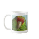 parrot front view coffee mugs