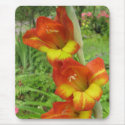 Parrot Gladiolas mousepads