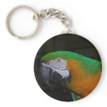 Parrot Keychain