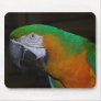 Parrot Mousepad