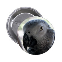 Parrot Pin