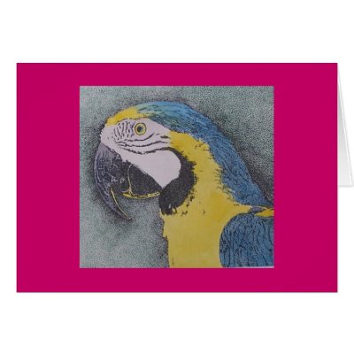 parrot portrait card by artbynina