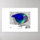 Parrot print