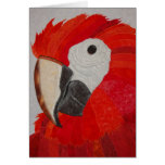Parrot Quilt cards