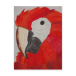 Parrot Quilt postcards