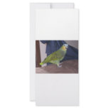 Parrot rack cards