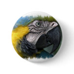 Parrot Round Button