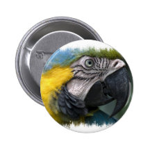 Parrot Round Button