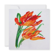 Parrot Tulip (Square)