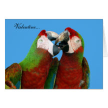 Parrot Valentine Card