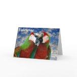 Parrot Valentine Card 003
