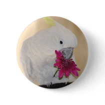 Parrot with he loves me he loves me not pin