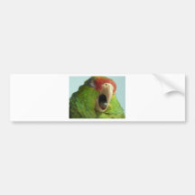 parrot yawning bumper stickers