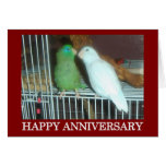 Parrotlet anniversary greeting cards