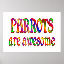 Parrots are Awesome Poster