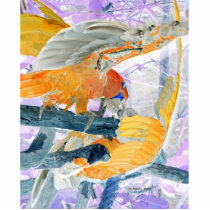Parrots fighting inverted to orange and white