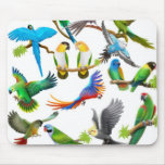 Parrots Galore Mousepad