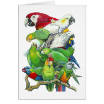 Parrots Greeting Card