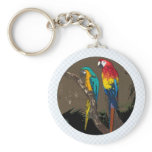 Parrots keychains
