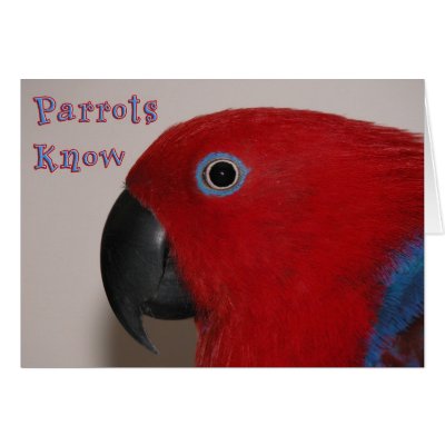 Parrots Know Greeting Card by scarletsfeathers