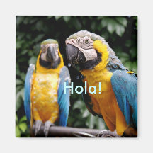 Parrots Magnet