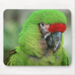 Parrots of the Caribbean Part Two Mouse Pads