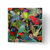 Parrots of the World II