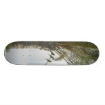 Parrots Palm Tree Skateboard Deck