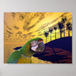 Parrots Paradise posters
