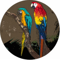Parrots