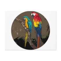 Parrots