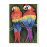 Parrots postcards