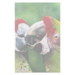 Parrots Personalized Stationery