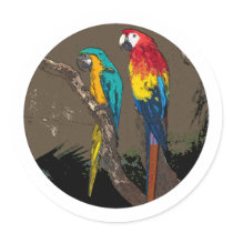 Parrots
