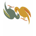 Parrots t-shirts