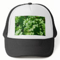 Parsley Green hats