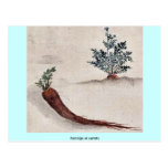 Parsnips or carrots postcard