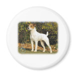 Parson Russell Terrier 9T016D-223 magnets