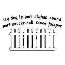 Part Afghan Hound Part Fence-Jumper Acrylic Cut Outs