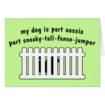 Part Aussie Part Fence-Jumper Card