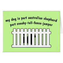 Part Australian Shepherd Part Fence-Jumper Greeting Cards