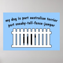 Part Australian Terrier Part Fence-Jumper Poster