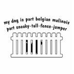Part Belgian Malinois Part Fence-Jumper Cut Out