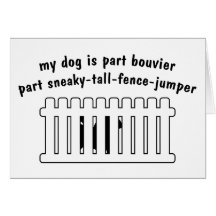 Part Bouvier Part Fence-Jumper Cards