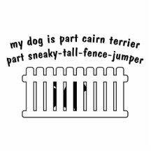 Part Cairn Terrier Part Fence-Jumper Photo Sculptures