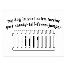 Part Cairn Terrier Part Fence-Jumper Postcards