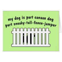 Part Canaan Dog Part Fence-Jumper Card