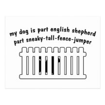 Part English Shepherd Part Fence-Jumper Post Cards