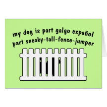 Part Galgo Espanol Part Fence-Jumper Card