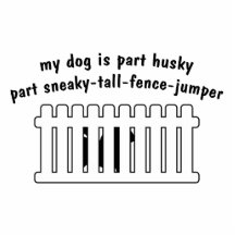 Part Husky Part Fence-Jumper Photo Cutouts